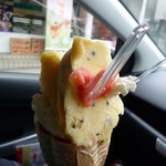 Fruits & Gelato Sakurajima - 