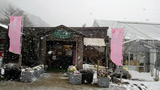 Inawashiro Herb En - 吹雪でした(;ﾟ∇ﾟ)　雪見さくら祭りやね