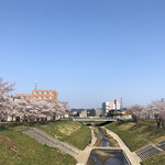 BAGEL U - 近くの笊川沿いの桜