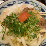 Marugame Seimen Sapporo Ten - 