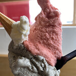 Toide Gelato - 