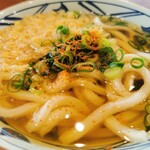 Marugame Seimen Nihama Ten - かけうどん(並)