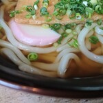 Myoban Udon - ・汁でもフヤケ具合がまるで無い