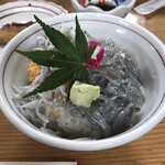 Wakakusa Zushi - しらす丼ズームアップ