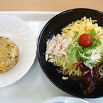 COPAL - 私の「ミニチャーハン」と「冷やし中華(醤油)[大盛りサービス]」が着盆＼(^o^)／