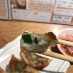 JR Amagasaki Gyoza Sakaba Mantarou - 野菜餃子の中身