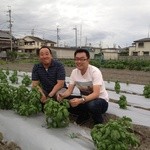 大阪産料理 空 - 大村さんちのバジルソースと犬鳴豚の炭火焼きは相性抜群。