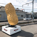 Nakanishi Peanuts - 