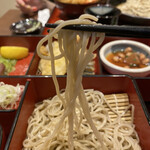 Soba Den Nishiaraiarioten - 