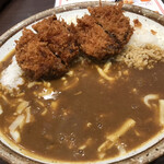 Curry House CoCo Ichibanya Toyohashi Takashi Ten - 