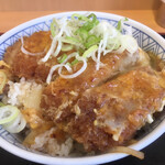 Obento no Hirai Koshi Ten - 大盛！ザ・カツ丼 (580円)