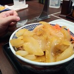 Yoshinoya Seiseki Sakuragaoka Eki Ten - これは後から合流した連れの牛丼352円にねぎだく102円