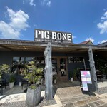 Pig Bone - 