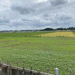 Teuchi Soba Ichii - 広がる田園風景！