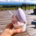 Miyama Ice Kobo - 