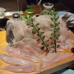 小川の魚 - 