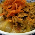 Yoshinoya Oogaki Ten - 