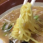 猿羽根山ドライブイン - 麺