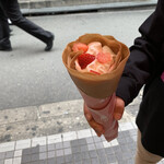 Cosco Crepe Umeda Ten - 