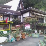 ALPINA - 