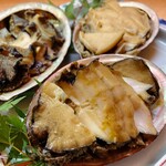 Abalone