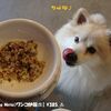 DOG DEPT GARDEN Sano Ten - 《 [Dog Menu]ワンコ炒飯(S)》♨