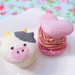 Licorne Omote Sando - 