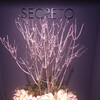 SECRETO - 