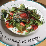 AD'ACCHIO - 