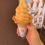 Toretore Soft serve ice cream - ミカン