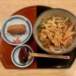 手打うどん 立山 - ごぼう天うどん ¥800