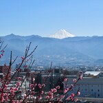 Chosei Kaku - 富士山が見える梅園です