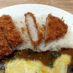 My Curry Shokudo Warabi Nishiguchi Ten - とんかつは普通。一見いいことづくめだが…