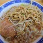 Shojin Kadofuji - 「ふじそば」の麺はこんな感じ