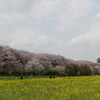 峠の茶屋 - 