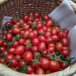 Kanko Nouen Tomato Farm - 