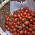 Kanko Nouen Tomato Farm - 