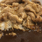 Yoshinoya Irokugosen Oihama Ten - 濃いカレー