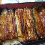 Unagi Shirasawa - 