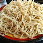 Udon Sono - 北海道産の挽きぐるみ。少し星が入ってます。細い蕎麦ですね。冷たくしめてあります。温(ぬる)いとガッカリしますからねー。