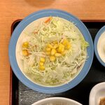 Matsuya Hakusan Ten - 厚切り豚生姜焼き定食 ¥730 の生野菜