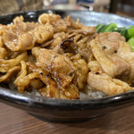 Niku no Yama Gyu Ion Moru Kasukabe Ten - カルビ焼肉丼