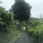 蕎麦 きし野 - 