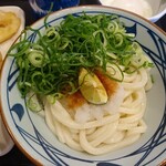 Marugame Seimen Kyotango Ten - おろし醤油うどん