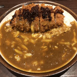 Curry House CoCo Ichibanya Toyohashi Takashi Ten - 