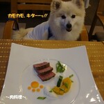 CARO FORESTA北軽井沢リーオ - 《[Dog Menu]ＳＰＤ(ﾊｰﾌｻｲｽﾞ) 》♨～肉料理～