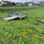 Sano Ramen to Gyoza Tochigi Ken - 良いねぇ、田んぼの中の休憩所… マイナスイオンが満ち溢れてる