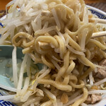 Yamashou Kadofuji Shinmatsudo Honten - 角ふじラーメンの麺