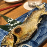 Robata to Sake Shitagokoro - 