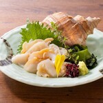 Hokkaido Shibuyaekimaeten - つぶ貝刺身